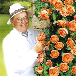 Set Clematis 'The President' & Klimroos 'Papi Delbard®' -Boom Tuin Verkoop 8901292916766