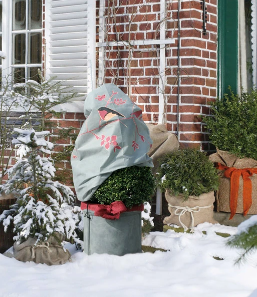 Winterbescherming Thermo Plantenhoes Vogels 90 X 100 Cm 3 Winterbescherming Thermo Plantenhoes Vogels 90 X 100 Cm