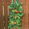 Twee Aardbeien Plantbuidels & 9 Hangaardbeien 1 Twee Aardbeien Plantbuidels & 9 Hangaardbeien -Boom Tuin Verkoop 8902136856606