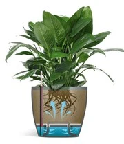 Emsa® Casa Brilliant Bloempot ø 35 Cm 'zijdegrijs' 5 Emsa® Casa Brilliant Bloempot ø 35 Cm 'zijdegrijs' - Afbeelding 3