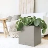 EMSA® CASA COSY Kubus 30x30x31 Cm 'zijdegrijs' 2 EMSA® CASA COSY Kubus 30x30x31 Cm 'zijdegrijs' -Boom Tuin Verkoop 8920759828510