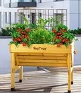 VEGTRUG 'verhoogde Houten Kweekbak' 100 X 46 X 80 Cm