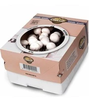 Witte Champignons (kweekset) 4 Witte Champignons (kweekset) - Afbeelding 2